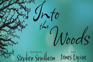 UMassD Theatre Company presents Into the Woods